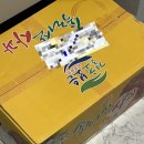 양하사농장 네이버블로그