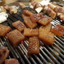 꼬꼬마 돼지 이미지