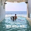 제주인(제주in) | 포항 호미곶 숙소 제주인포항 구룡포 풀빌라 스위트룸 201호