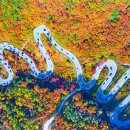 굽이마다 물드는 단풍빛… 드라이브족이 반한 도로 이미지