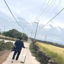 백사카서비스 | 우도에서 인생샷과 힐링을 동시에! 지역별 펜션 장단점 완벽 분석 가이드