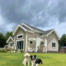 까사델뻬로 이미지