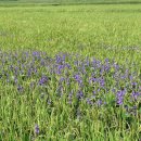 궁리마을진입로 이미지