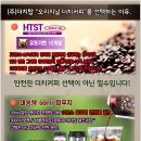 더치스토리