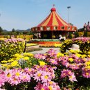 함평센터-14 이미지