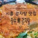신일초교 이미지