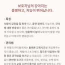 (주)펫닥 이미지