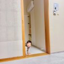 유구마곡사로 | 공주 힐링 템플스테이 워크숍 추천 한국문화연수원