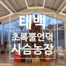 하이동농장 이미지