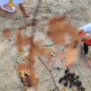 오목초등학교병설유치원 이미지