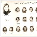 임성초등학교 이미지