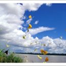 가을바람 이미지