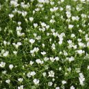 뽀빠이마취통증의학과의원 이미지