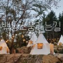 (주)백동소풍가는길 이미지