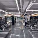 윌 휘트니스 이미지