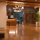 생생생공화국 이미지