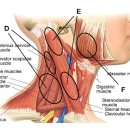 엠플러스병원 이미지