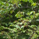 열매몬테소리어린이집 이미지