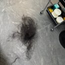 헬스트론 대구시지지점 | [대구 수성구] 대구 수성구 시지 미용실 " 오쓰헤어 시지지점 " 물광클리닉 내돈내산 체험 후기