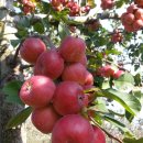 현자농장 이미지