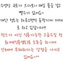 장영펜션 네이버블로그