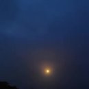 체리공인중개사사무소 이미지