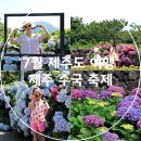안덕면 동광 생활체육관 | 7월 제주도 여행 제주 수국 축제 무료 유료 정보 준비물