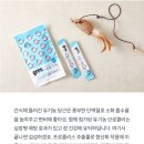 냐옹펫 이미지