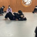 라이온 체육관 이미지