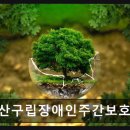 용산구립장애인보호작업장 | {강남, 주간보호센터, 장애복지 시설, 추천!} 용산구립장애인주간보호센터 장애인을 위한 따뜻한 공간...