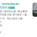 헤어리나 이미지
