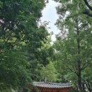 남동구 장아산근린공원 무장애나눔길 네이버블로그