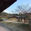 곡성-257 이미지