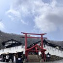동두천] 니지모리 스튜디오_ 한국 속 동화같은 일본마을 ⛩️ 당일치기 여행(주차, 즐길거리, 식당, 카페)