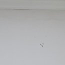 주공아파트9단지 이미지