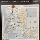 삼성열쇠조명 | 실내 데이트] 코엑스 별마당 도서관 크리스마스 트리 보고, 저녁은 양고기 맛집 '양꽃 삼성점' (내돈내산)