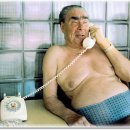 브레즈네프 [Leonid Il'ich Brezhnev, 1906.12.19~1982.11.10] 77세 이미지