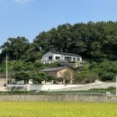 강화도 해뜨는집 이미지