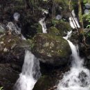 발교산산장