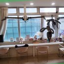 루틴펫살롱 | 철산미용실, 분위기와 실력이 조화된 헤어살롱 후기