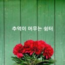 기쁨, 아름다움, 베품의 정의 이미지