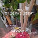 루아클립 이미지