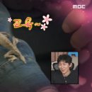 갤러리코쿤 이미지