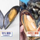 섭 이미지