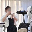 24시애견미용 이미지