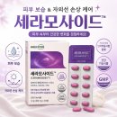 먹는 세라마이드, 여름철 피부관리 그린스토어 세라모사이드 후기