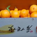 석희농장 이미지