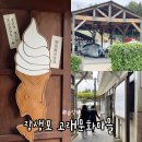 장생포사진관 | 울산 장생포고래마을 주차 정보부터 관람꿀팁, 전기관람차 투어까지 솔직후기