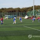 월드컵빌리지 축구장 천연 이미지