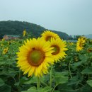 가야2리 이미지